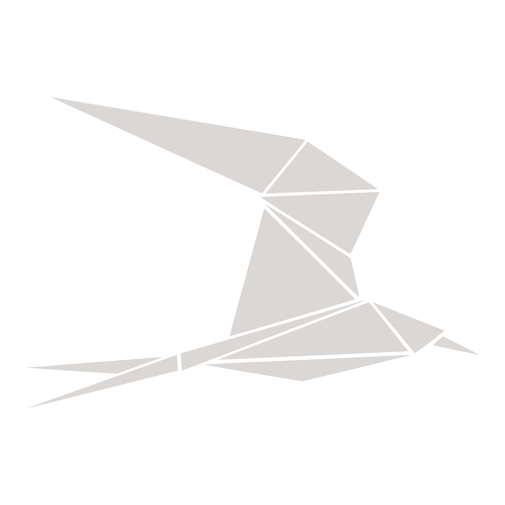 Tern Logo